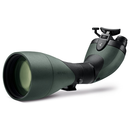 超レアモデル「BTX」＋115mm体験